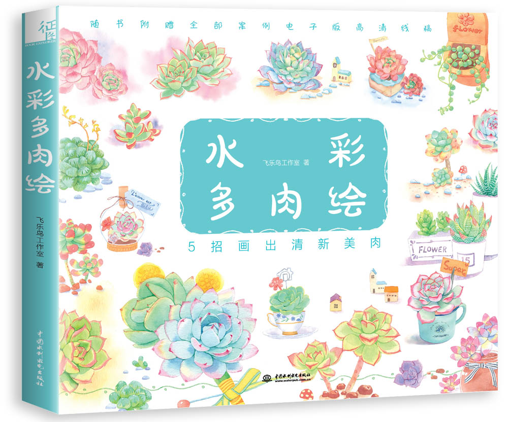 水彩多肉绘