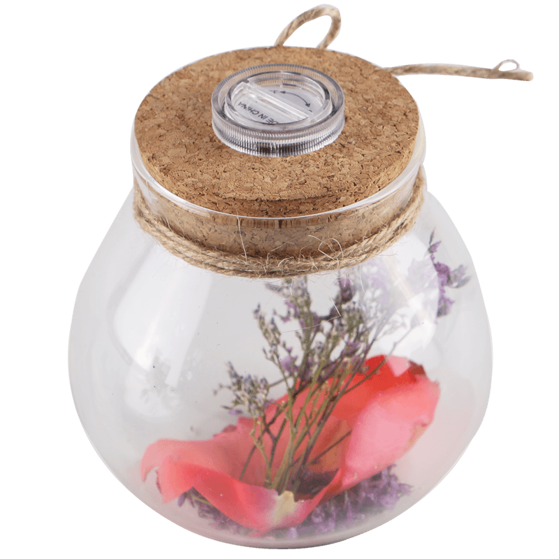 利威永生花DIY带灯创意透明球形干花木塞竹盖带盖玻璃瓶密封罐 带彩灯 带彩灯