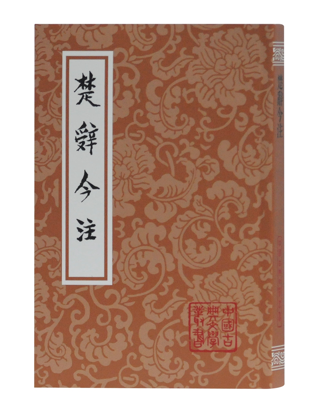 楚辞今注/中国古典文学丛书