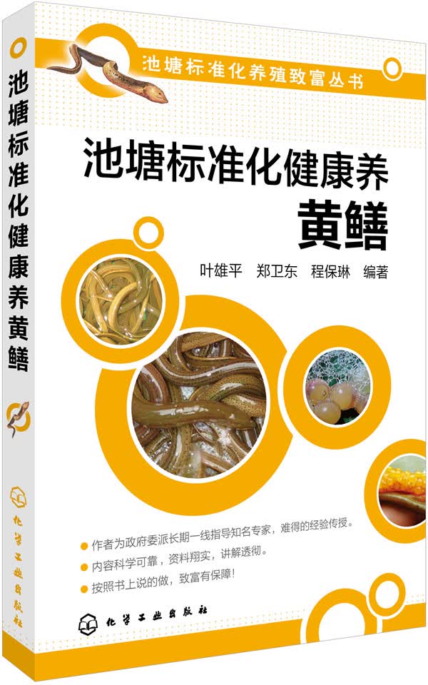 池塘标准化健康养黄鳝