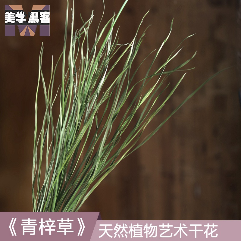 美学黑客 青梓草 干花花束真花客厅卧室家居摆设干枝装饰草天然文艺