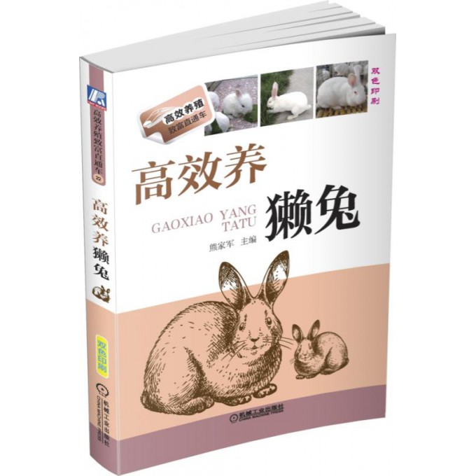 高效养獭兔(双色印刷)/高效养殖致富直通车