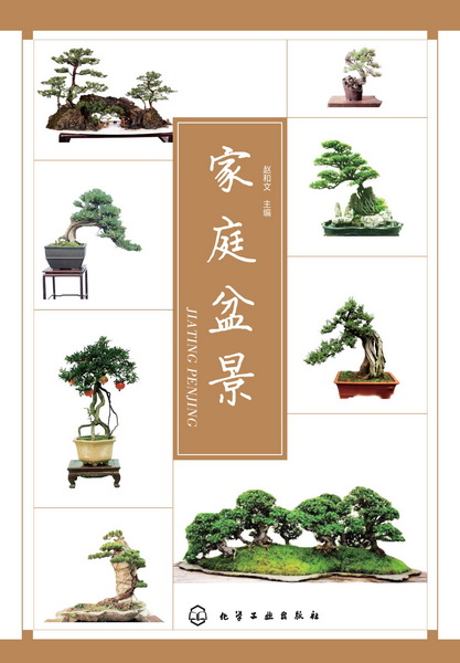家庭盆景 赵和文 主编