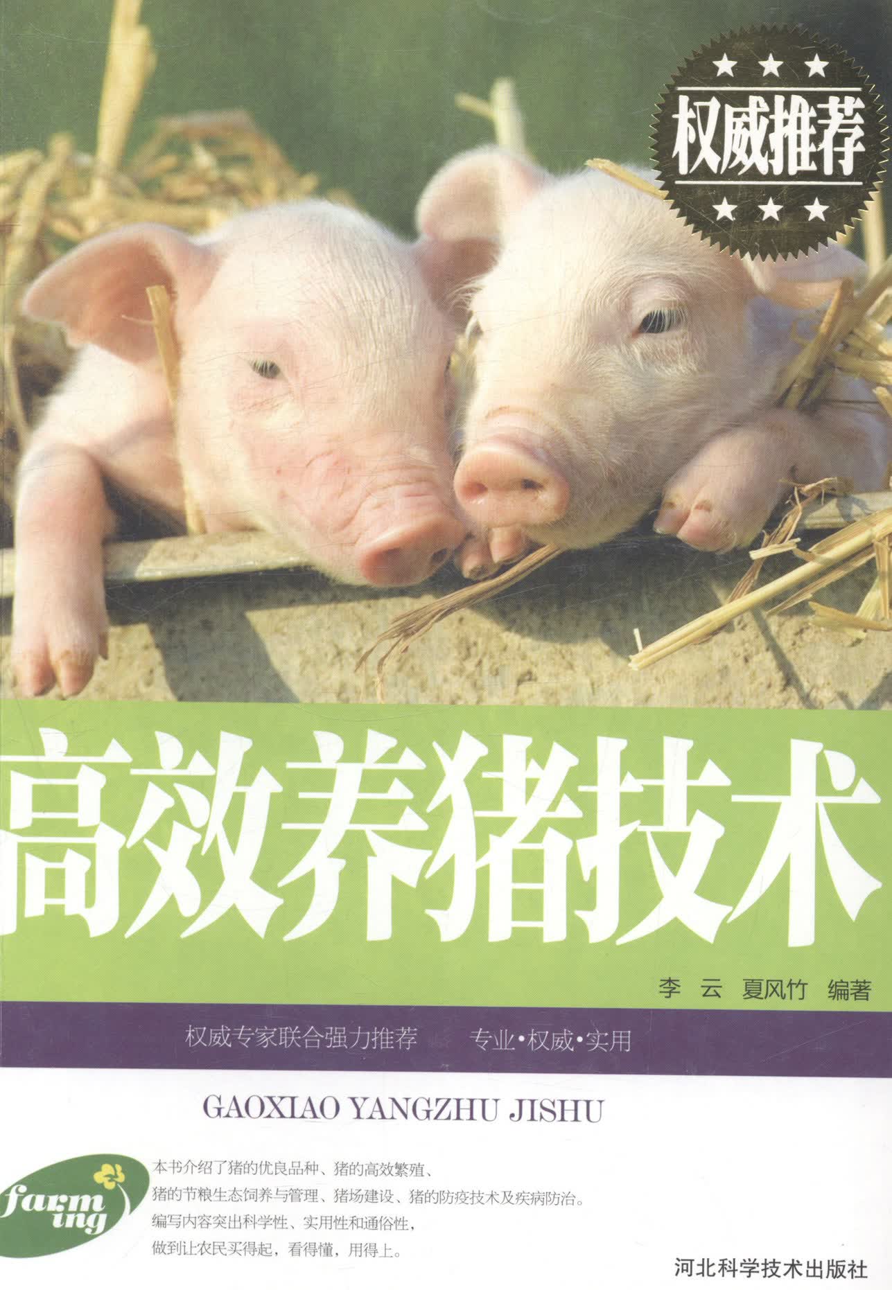 数字化转型：企业信息化引领未来
