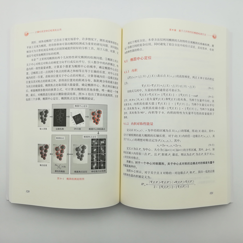 计算机视觉特征检测及应用详情图