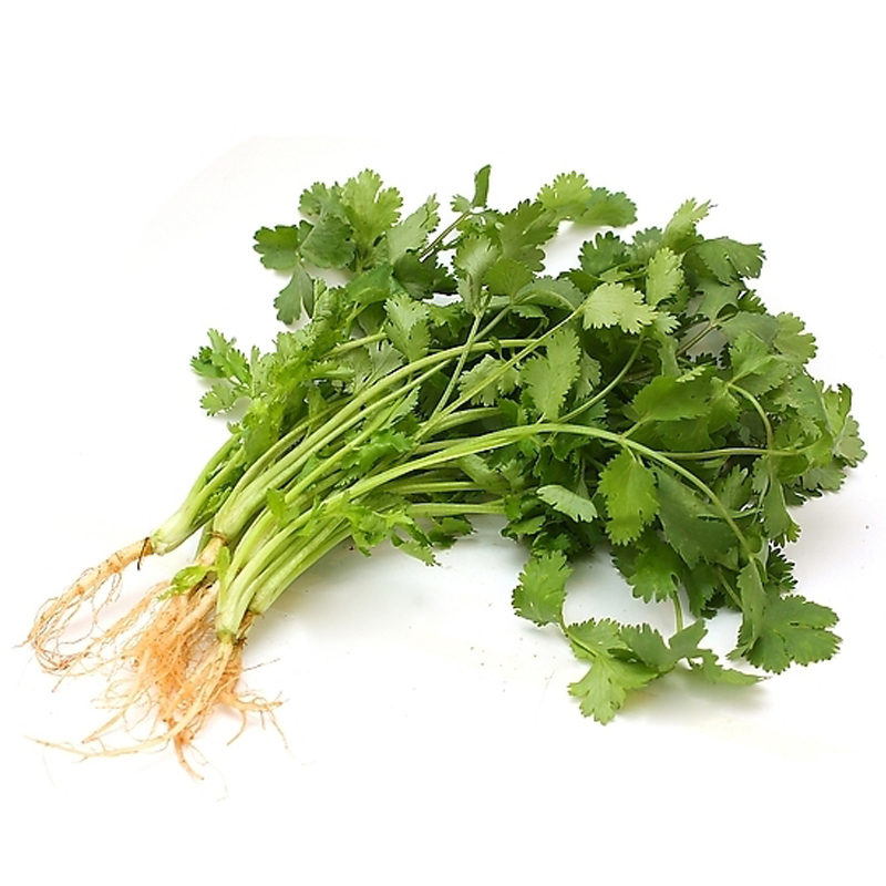 密园小农 香菜 约200g 新鲜蔬菜