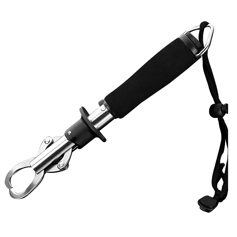 ңChuiXian Ʒʴƴ·ǿץǯ·ǯ ǹʽ/ 7.74Ԫ