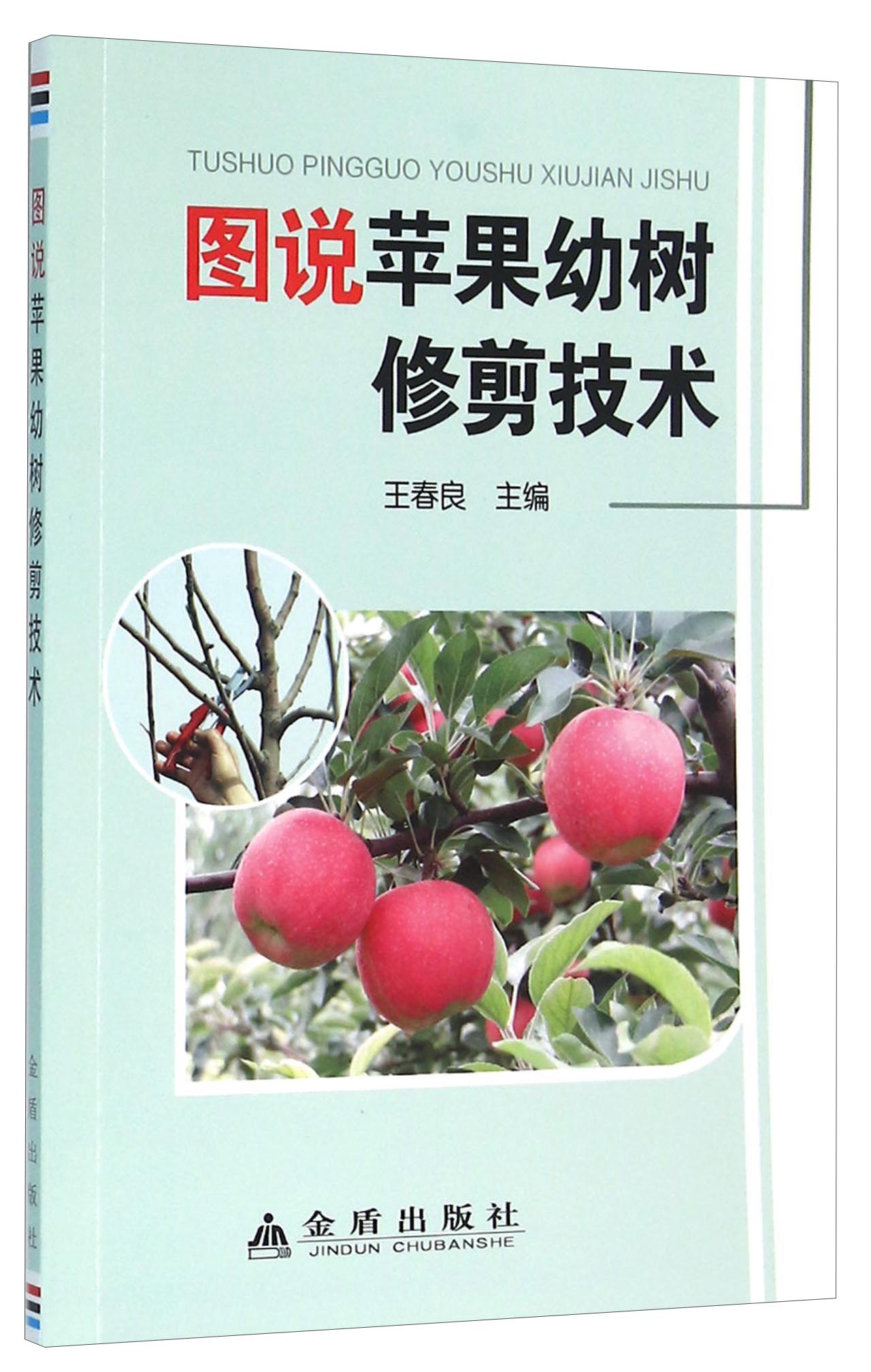 图说苹果幼树修剪技术