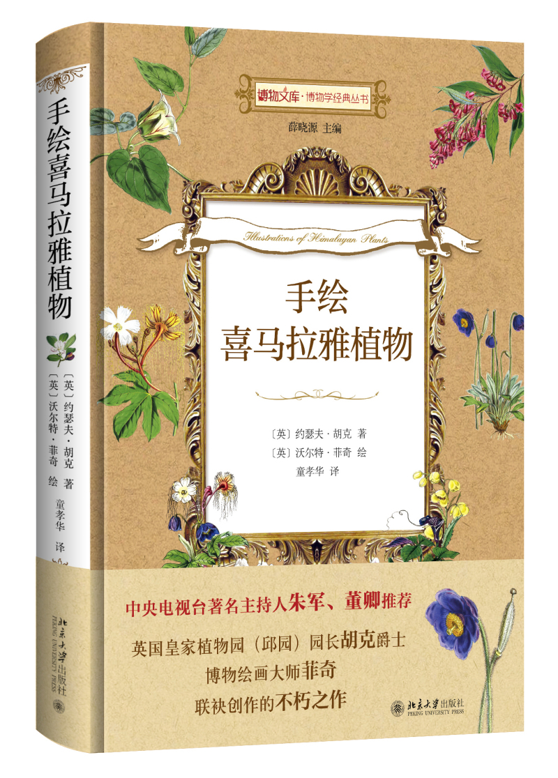 手绘喜马拉雅植物 博物文库 博物学经典丛书