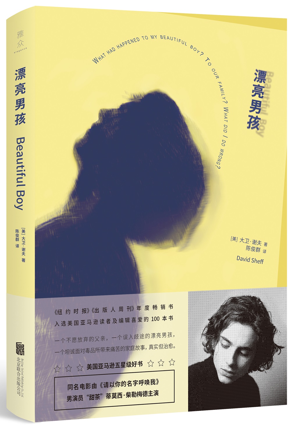 漂亮男孩:一个漂亮男孩的堕落与救赎之旅