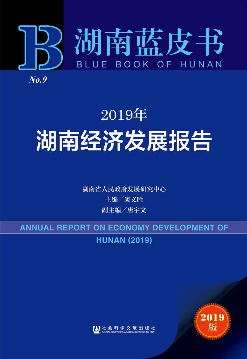 湖南蓝皮书：2019年湖南经济发展报告