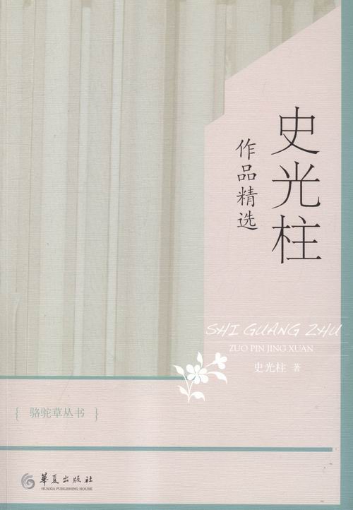 正版包邮 史光柱作品精选 文学 图书