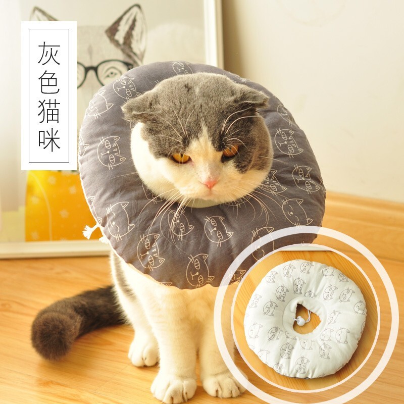 伊丽莎白圈 猫项圈猫脖圈 绝育幼猫防咬防舔防抓耻辱圈头套猫项圈