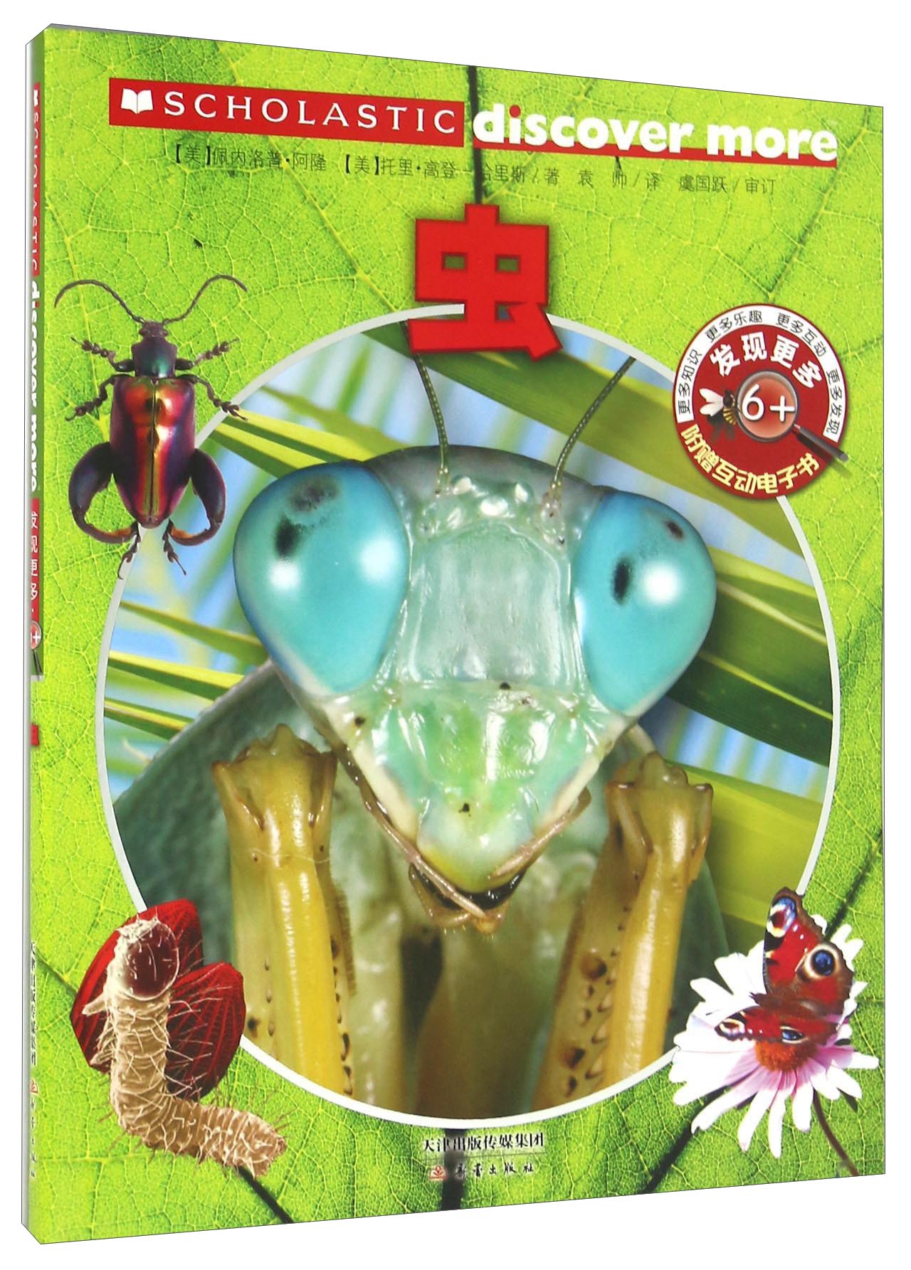 少儿小百科:发现更多6岁以上—虫