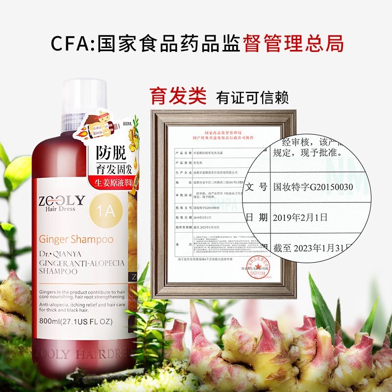 卓蓝雅(ZOOLY)生姜防脱发育发洗发水控油无硅油洗发露男女士通用洗头膏 强根健发生姜洗发水800ml