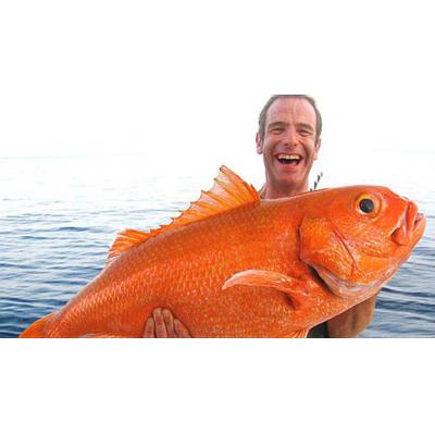 预订 Extreme Fishing