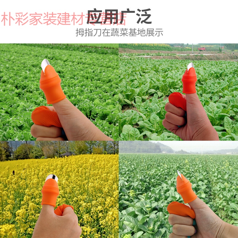 朴彩（PUCAI）拇指刀无骨鸡爪去骨采茶摘花椒神器采摘器掐菜心刀摘豆角茶叶 小号普通款【十个装】