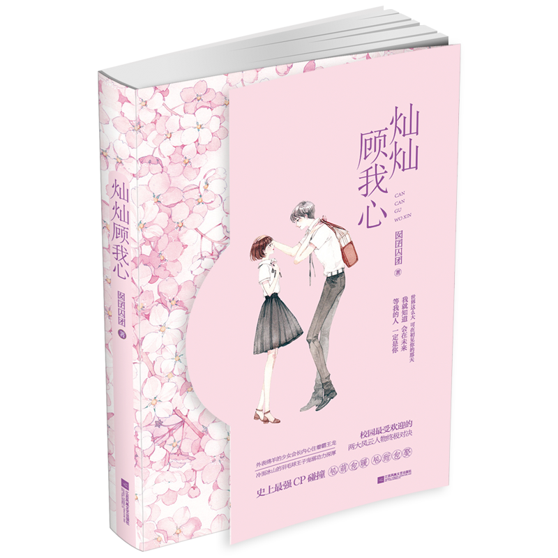 灿灿顾我心 青春文学 囡囝囚团著 江苏凤凰文艺出版社 9787559420077