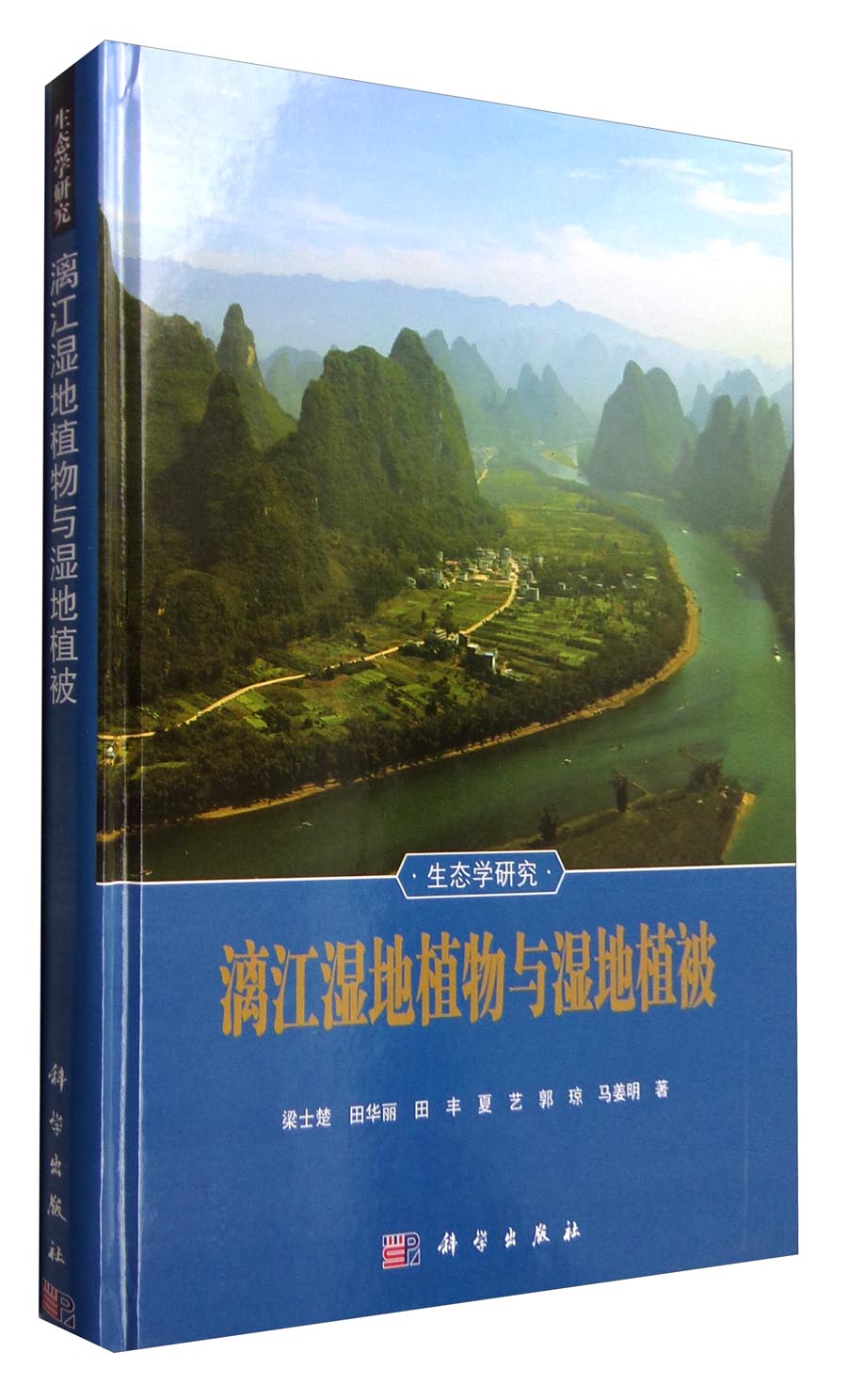 漓江湿地植物与湿地植被