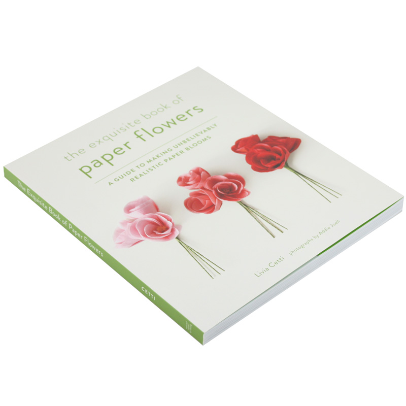 【现货】The Exquisite Book of Paper Flowers 手工制作纸花善本图书截图