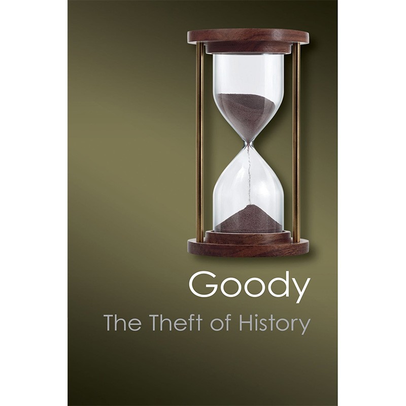 偷窃历史（剑桥经典系列）英文原版 The Theft of History怎么看?