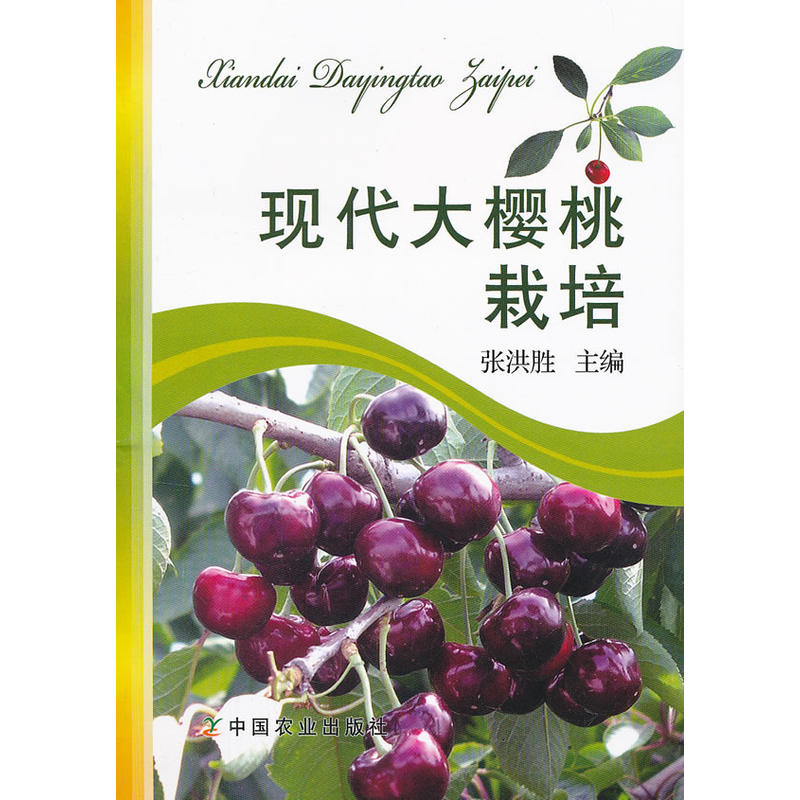 准化栽培技术 樱桃种植户阅读参考 现代大樱桃栽培资料书籍 甜樱桃