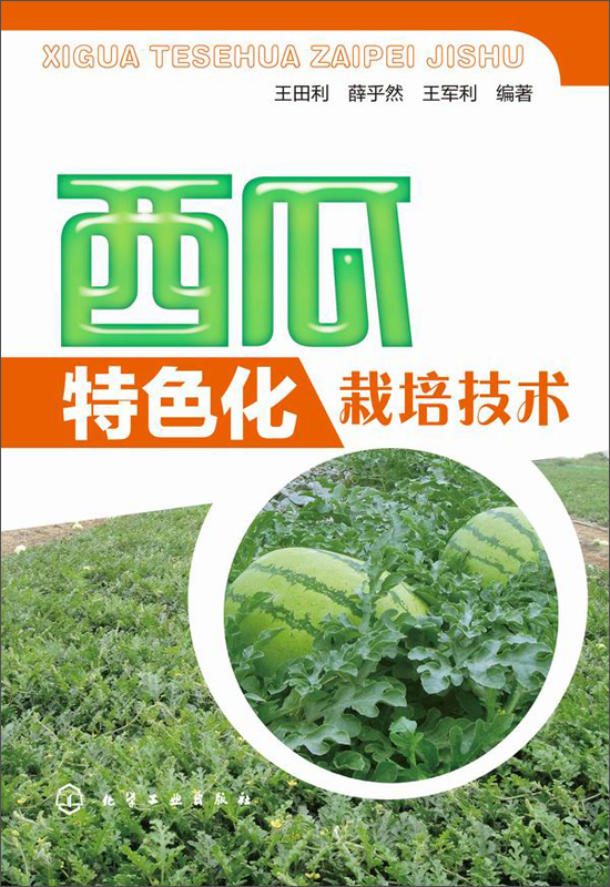 西瓜特色化栽培技术