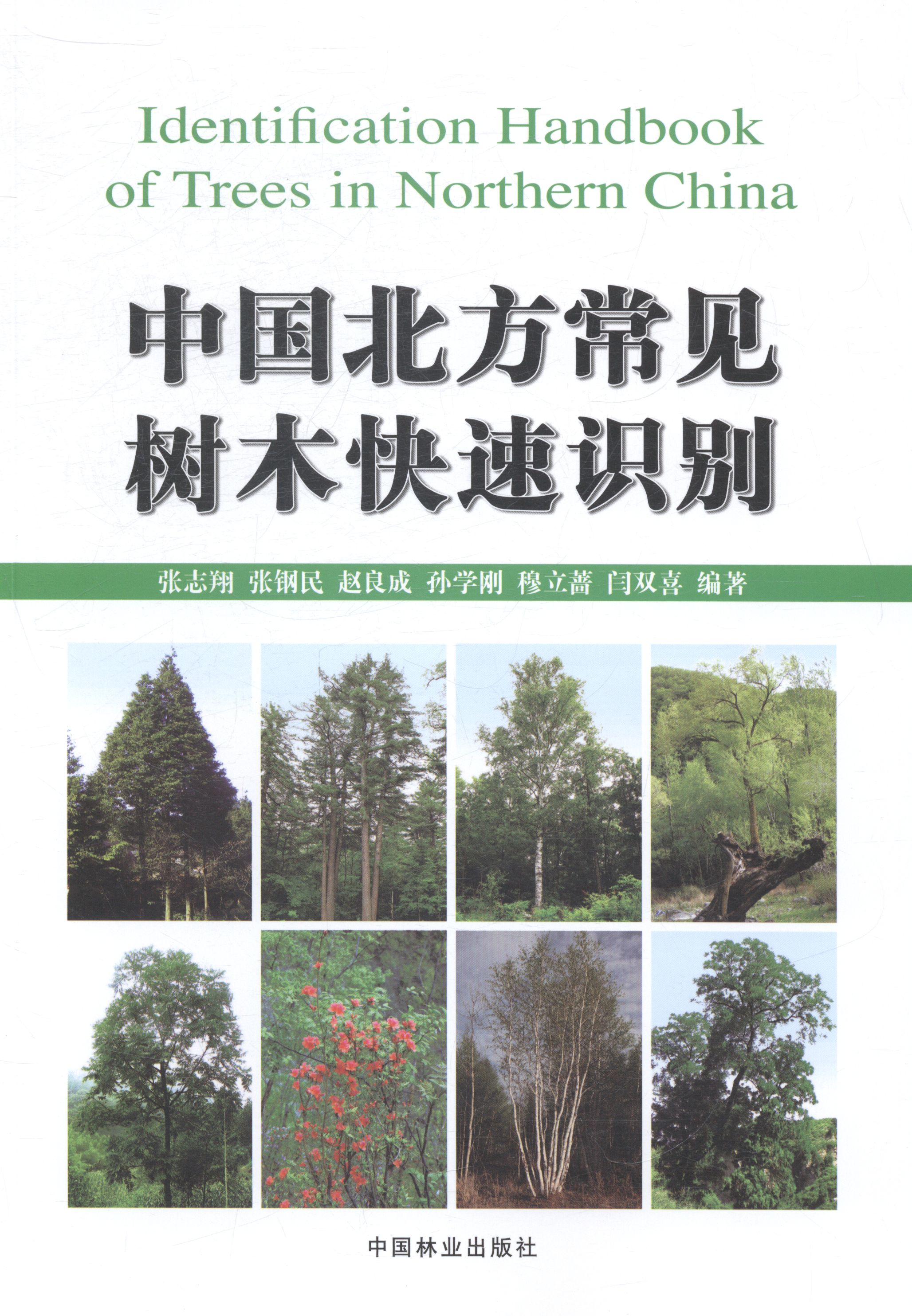 中国北方常见树木快速识别 农业/林业 书籍