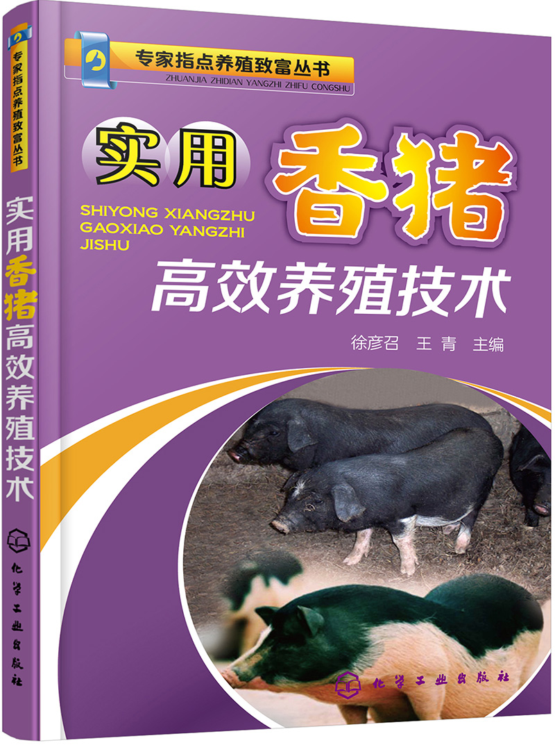 实用香猪高效养殖技术