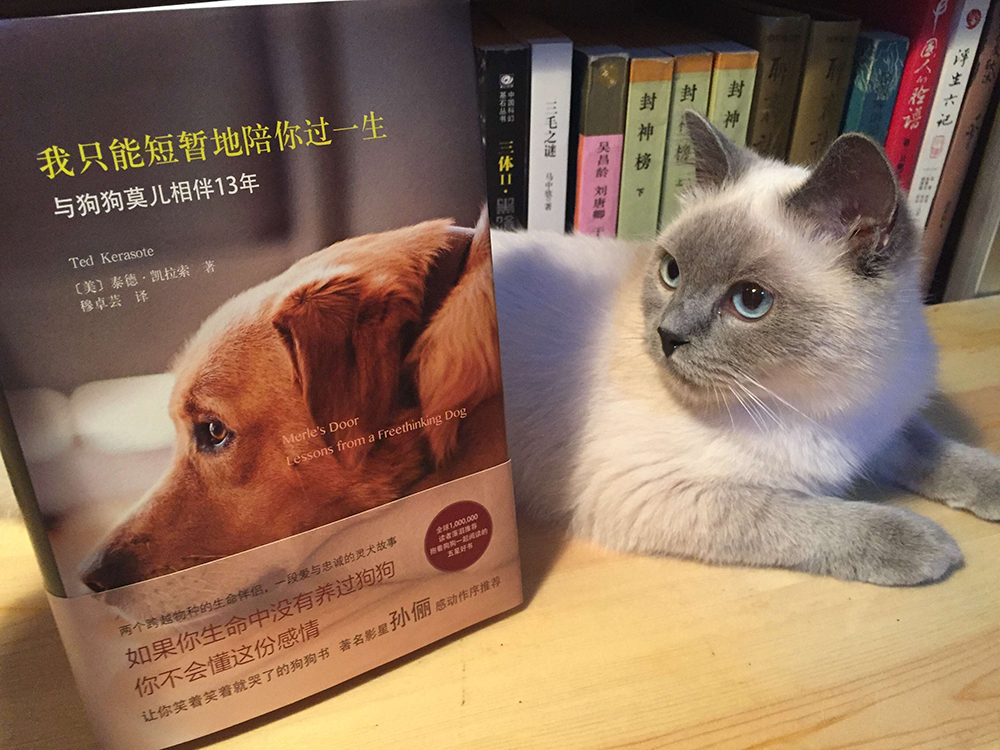 我只能短暂地陪你过一生（孙俪感动作序推荐）