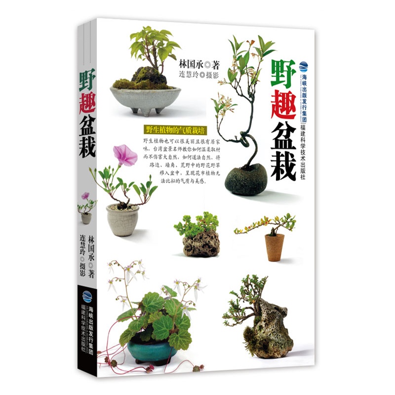 野趣盆栽 盆栽制作教程书 新手养花种植盆栽 盆景制作攻略书籍 园艺打理技巧 休闲养花