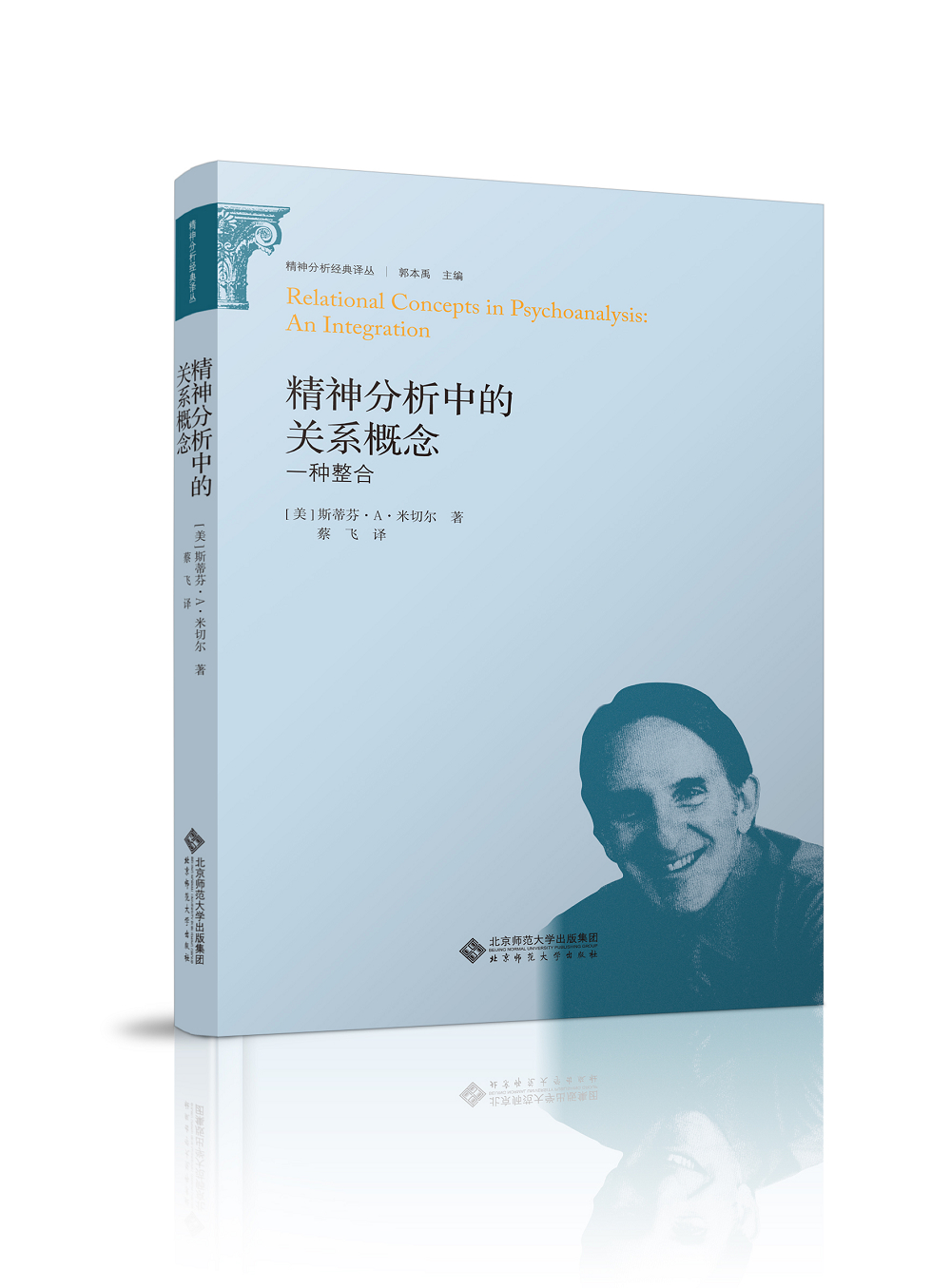 精神分析经典译丛:精神分析的关系概念 一种整合 pdf格式下载