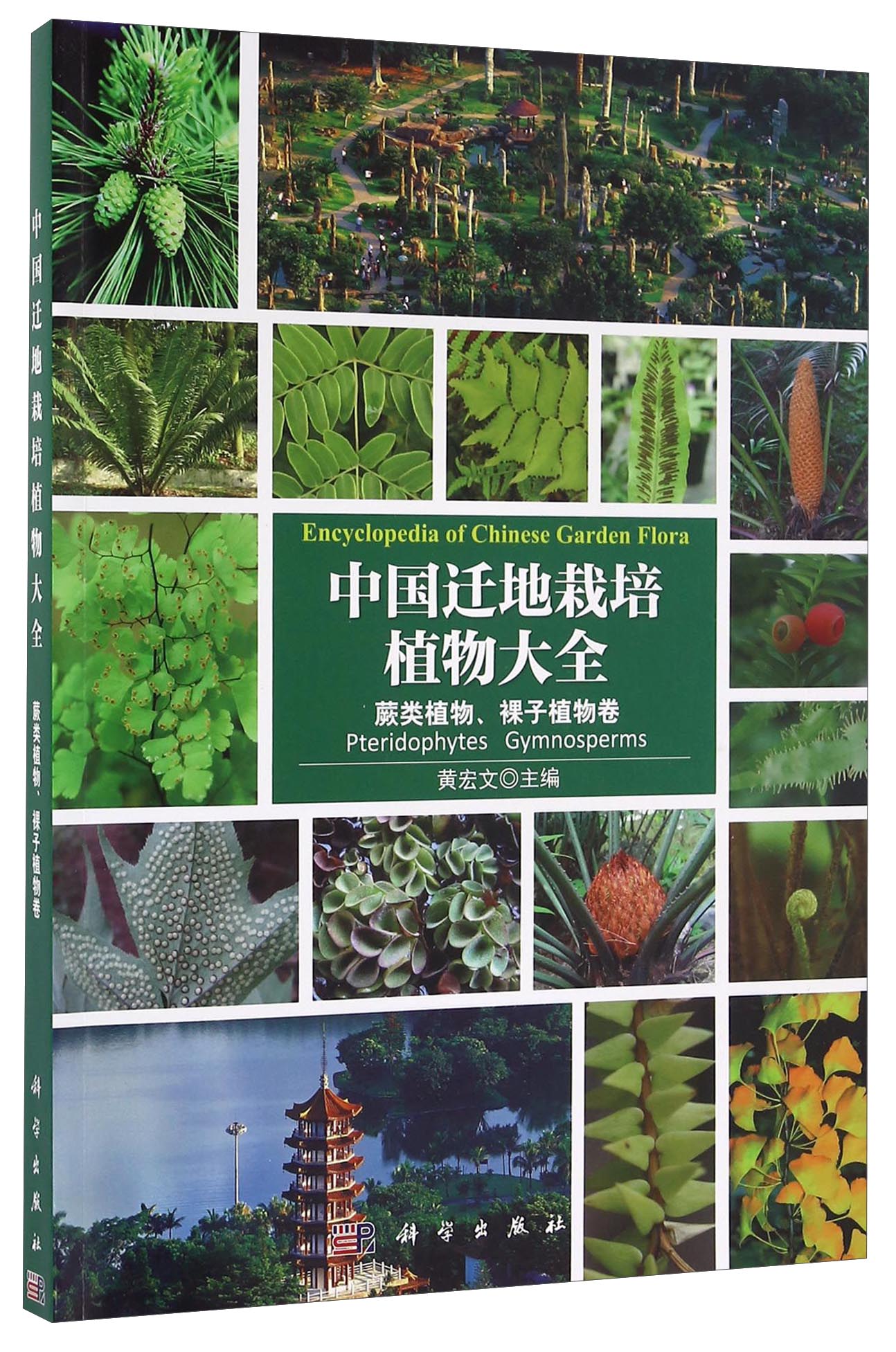 中国迁地栽培植物大全：蕨类植物、裸子植物卷