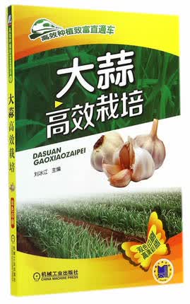大蒜高效栽培 刘冰江主编