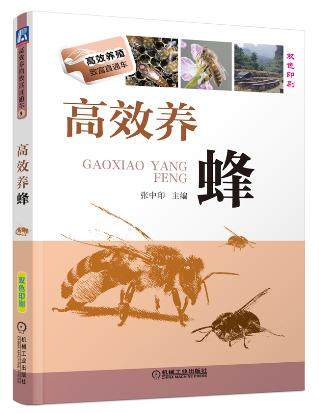 高效养蜂 张中印