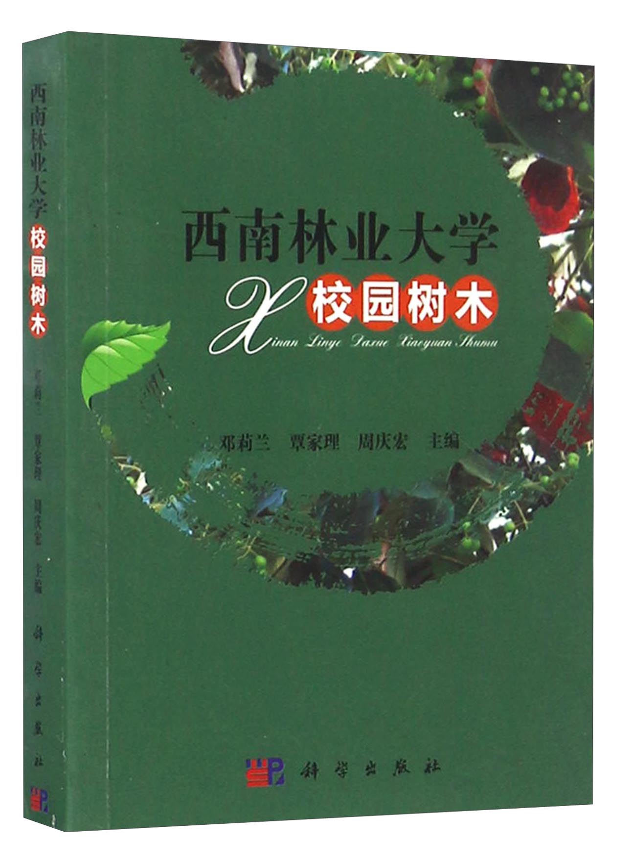 西南林业大学校园树木