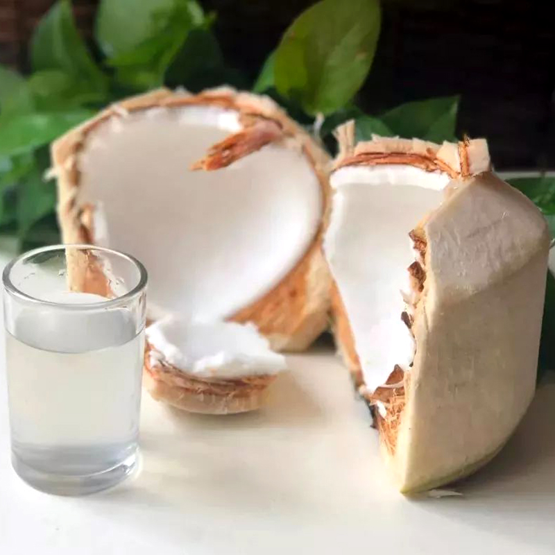 鲜惠源 泰国椰青进口椰子大果 新鲜水果 单果700g-900g-1200g 泰国