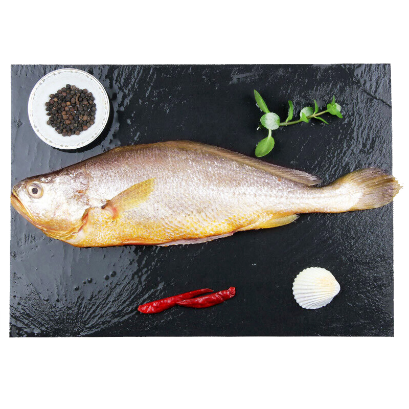 三都港大黄花鱼价格走势与口感推荐|怎么查鱼类京东历史价格