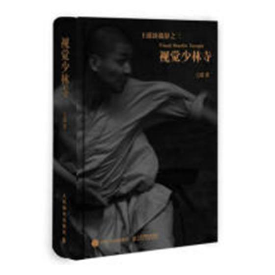 视觉 摄影 王瑶著 人民邮电出版社 9787115466884