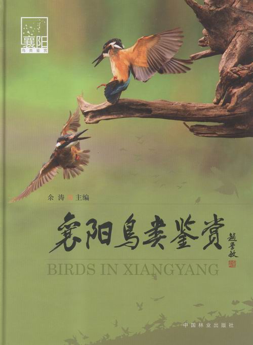 襄阳鸟类鉴赏书籍 科普读物 科普图鉴
