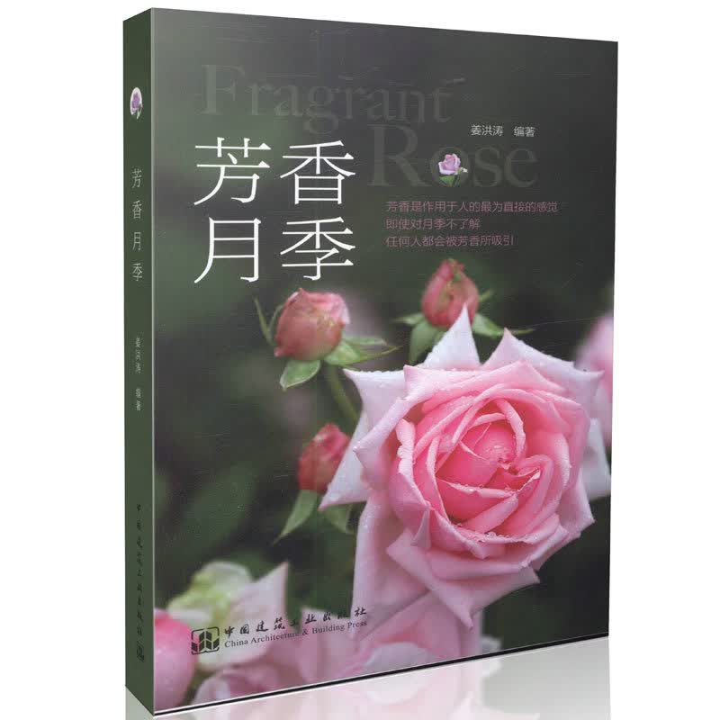 芳香月季 适合园林设计人员使用