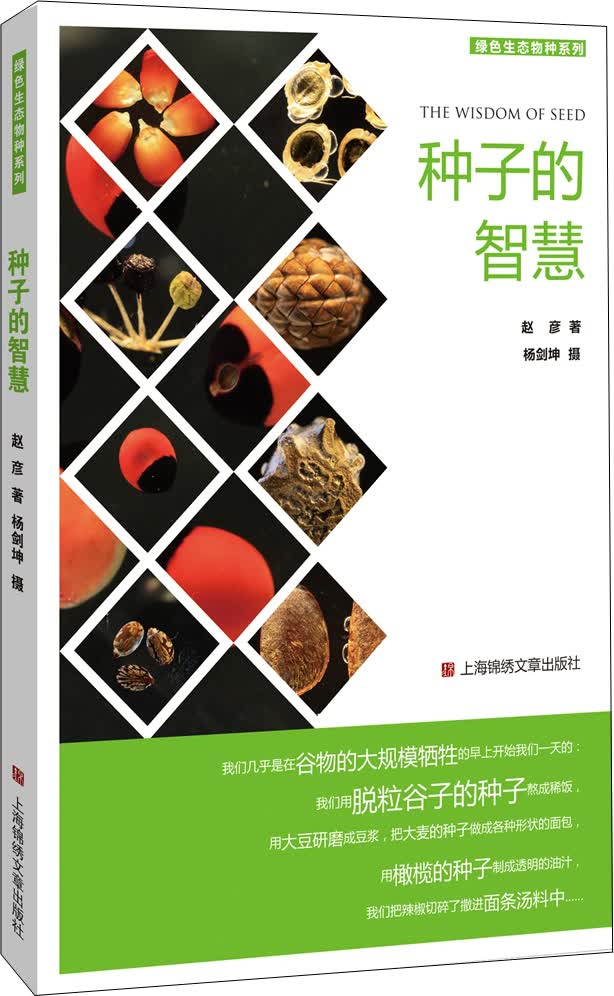 种子的智慧