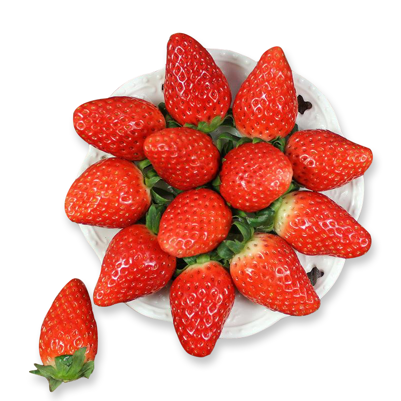 当红京鲜生草莓价格趋势与口感评测