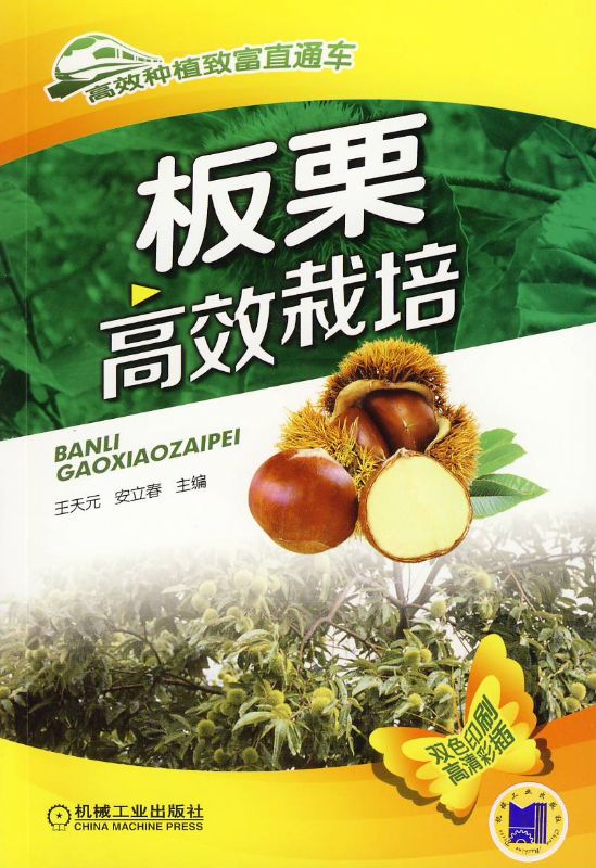 板栗高效栽培 王天元 安立春 主编