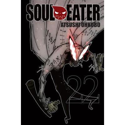 Soul Eater, Vol. 22 word格式下载