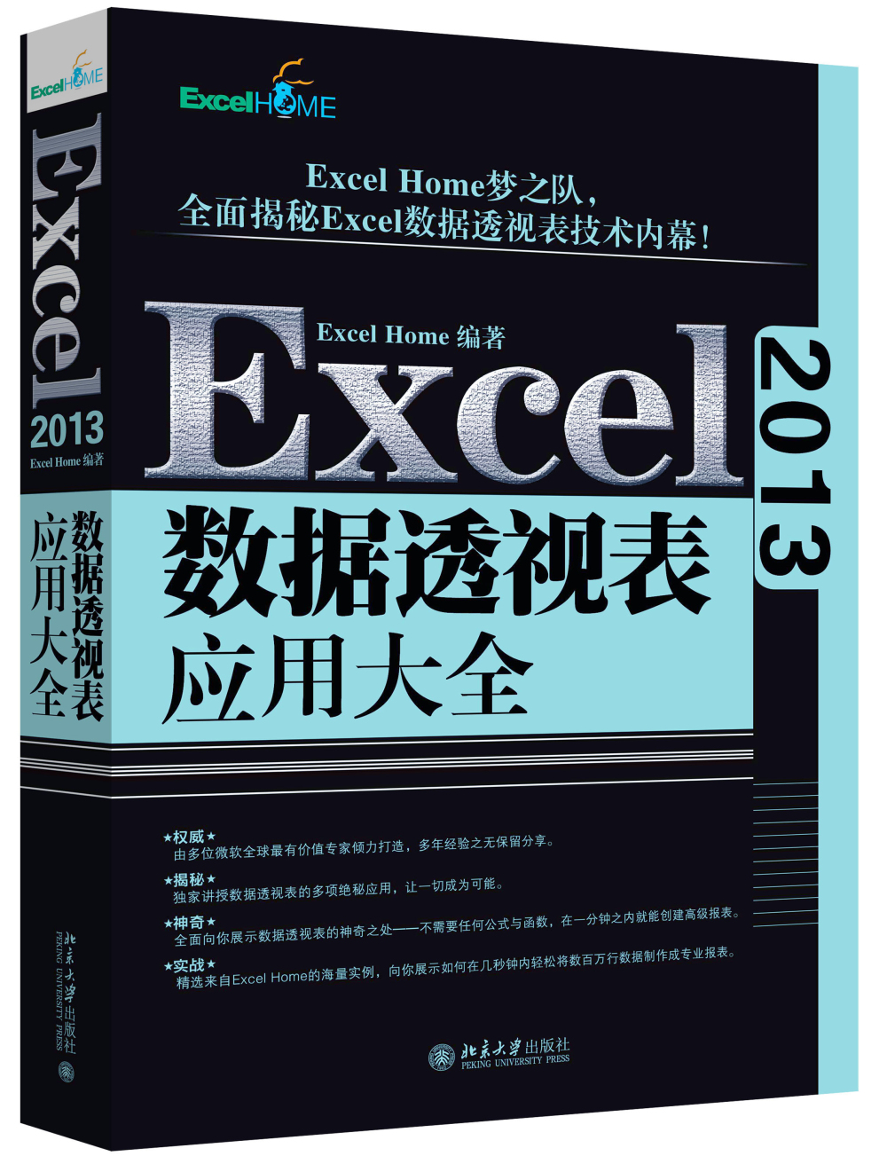 excel 2013数据透视表应用大全
