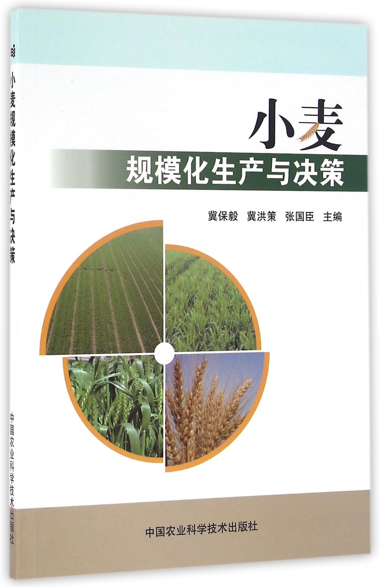 小麦规模化生产与决策