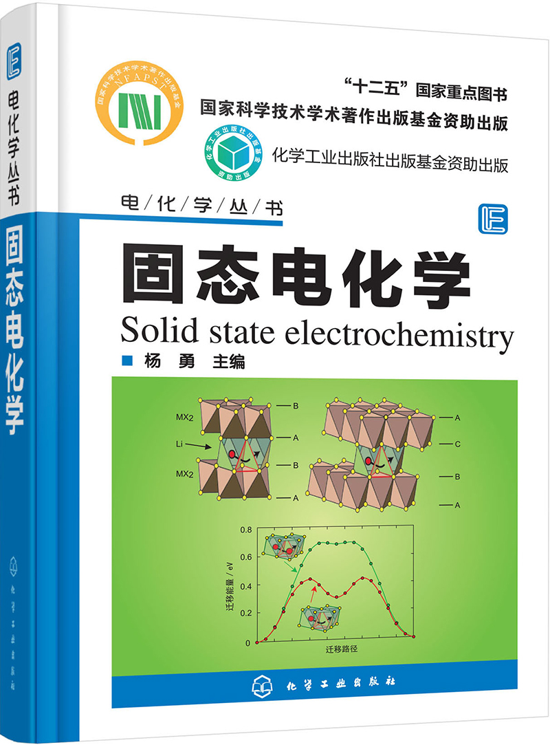 电化学丛书--固态电化学