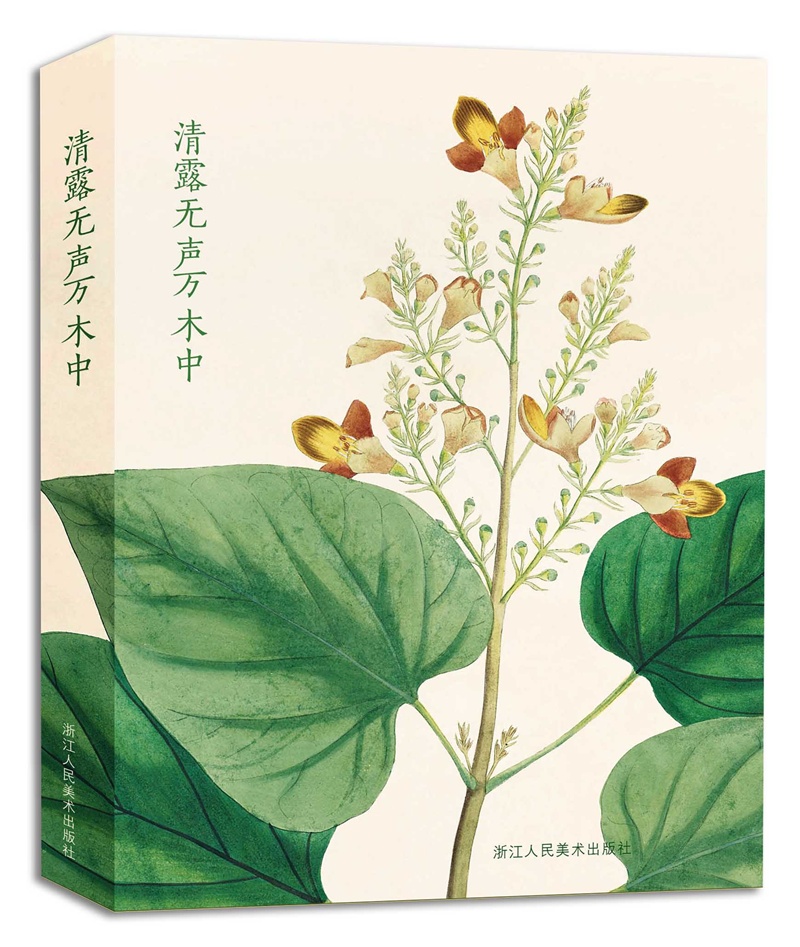 清露无声万木中(明信片)