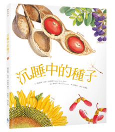 沉睡中的種子
